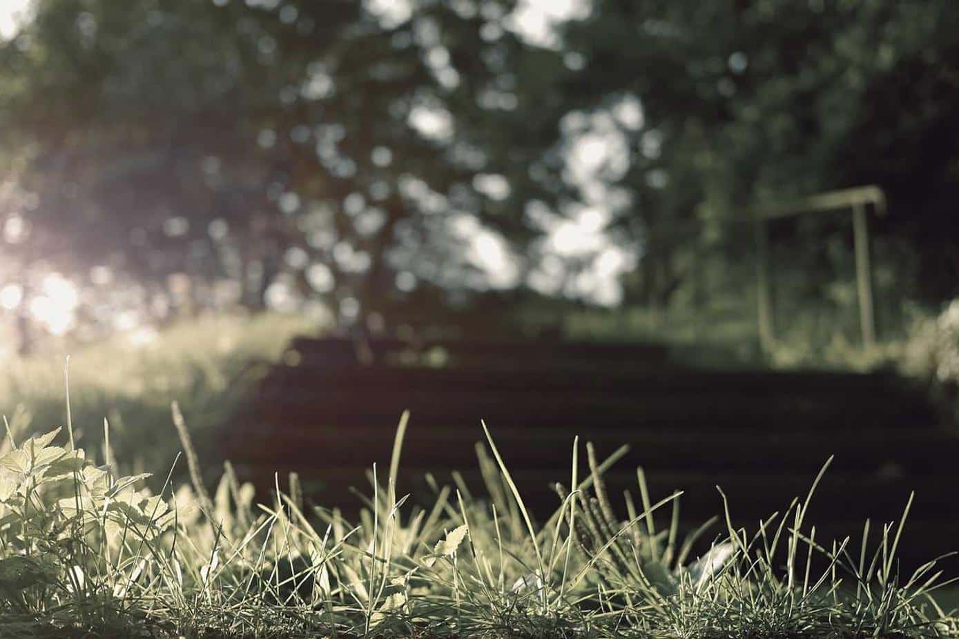 Aut quasi possimus cum